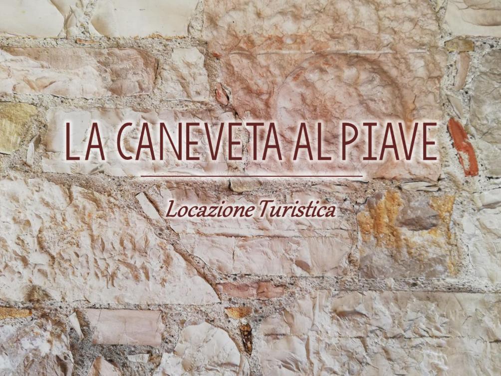 הוילה ולדוביאדנה La Caneveta Al Piave מראה חיצוני תמונה