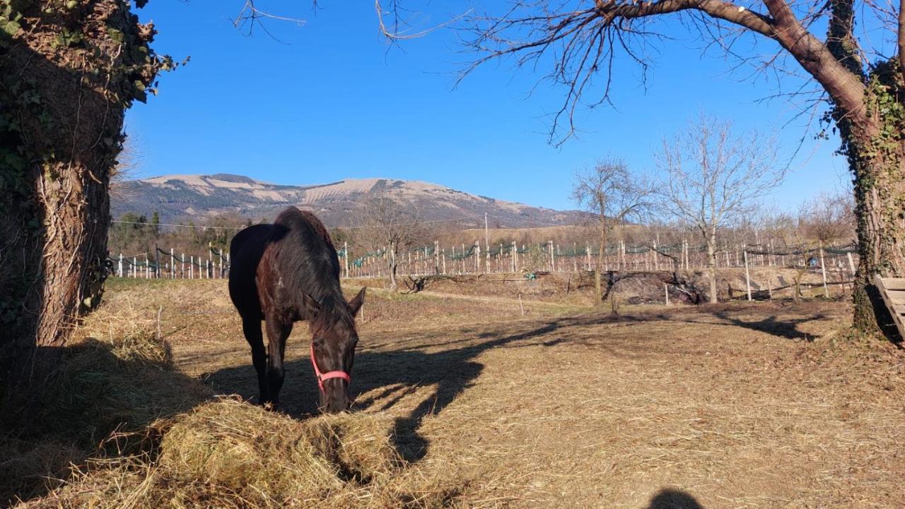 הוילה ולדוביאדנה La Caneveta Al Piave מראה חיצוני תמונה